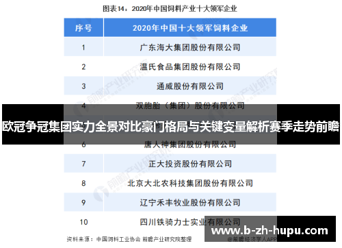 欧冠争冠集团实力全景对比豪门格局与关键变量解析赛季走势前瞻